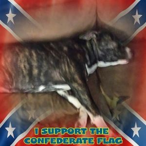 Meet your Posher, Cory